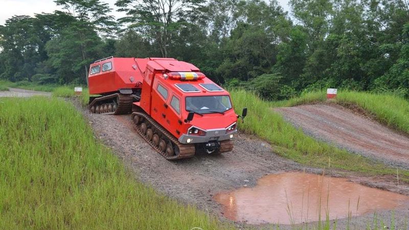 208956331 3167996233471476 1305707140399579162 n