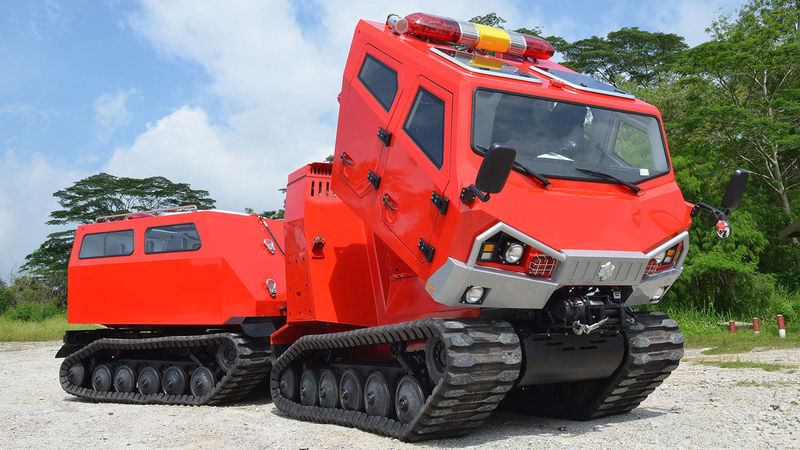 206680414 3167996256804807 2753533734984485375 n