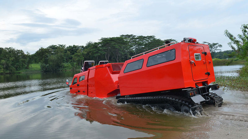 208814266 3167996246804808 3128243308924698870 n